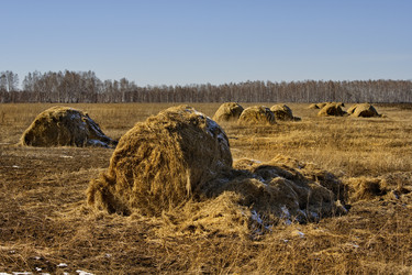 Similar image 22061797