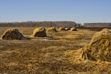 Similar image 22061798