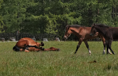 Similar image 22081521