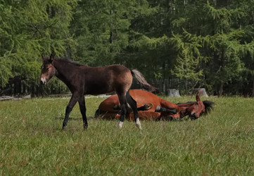 Similar image 22081524