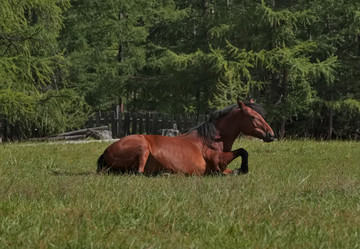 Similar image 22081525