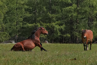 Similar image 22081526