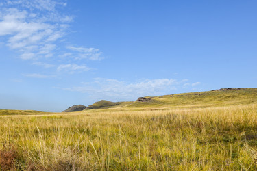 Similar image 22066391