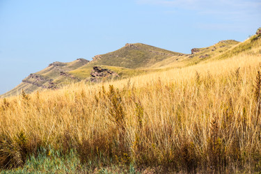 Similar image 22066392