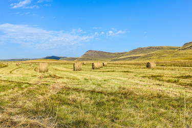 Similar image 22066399