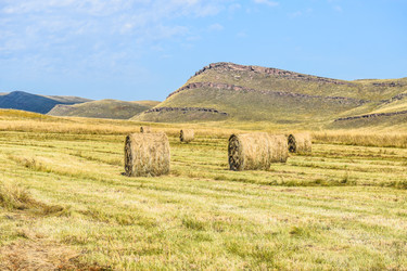 Similar image 22066400