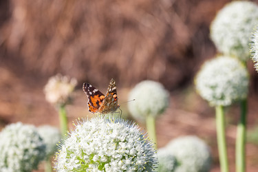 Similar image 22067879