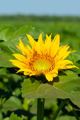 Similar image 22067880