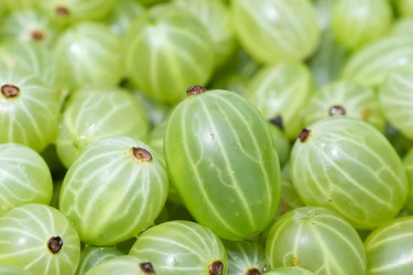 Similar image 22067881