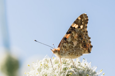 Similar image 22068028