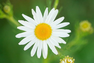 Similar image 22068033