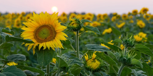 Similar image 22068034