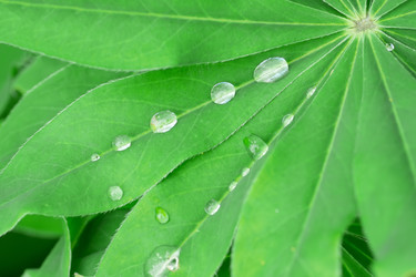 Similar image 22068039