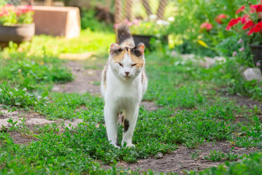 Similar image 22068052