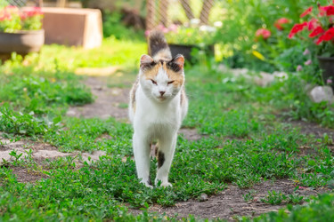 Similar image 22068054