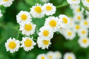 Similar image 22068060