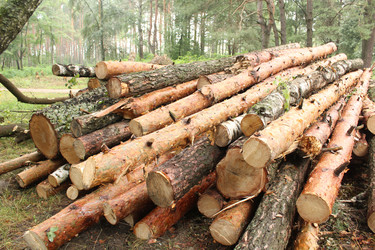 Similar image 22081053