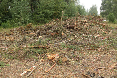 Similar image 22081056