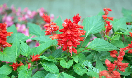 Similar image 22061810