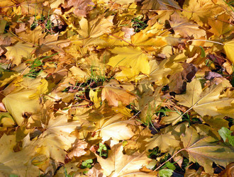 Similar image 22061815