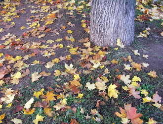 Similar image 22061820