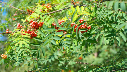 Similar image 22061825