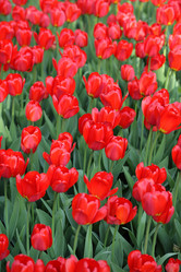 Similar image 22061828