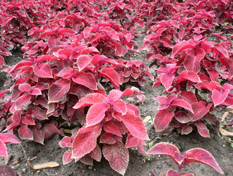 Similar image 22061833