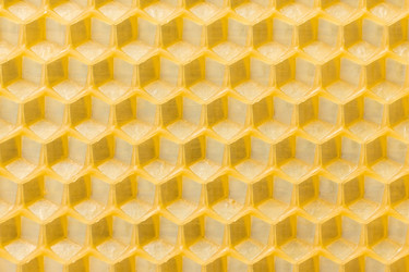 Similar image 22067324