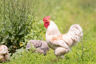 Similar image 22067331