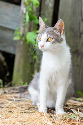 Similar image 22067641