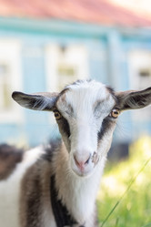 Similar image 22067643