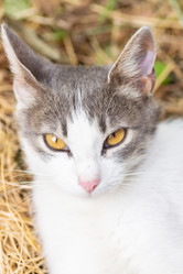 Similar image 22067645