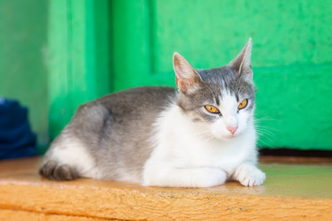 Similar image 22067651