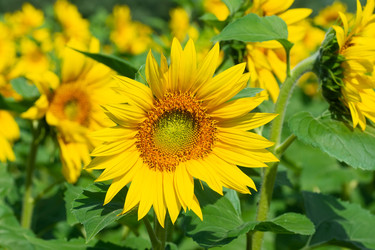 Similar image 22067653