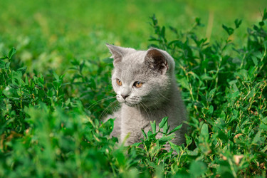 Similar image 22067657