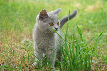 Similar image 22067661