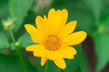 Similar image 22067663