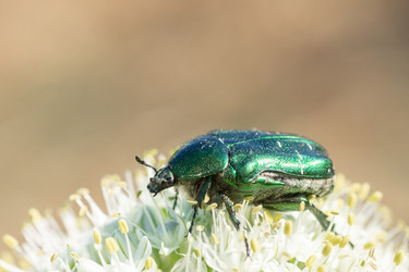 Similar image 22067664