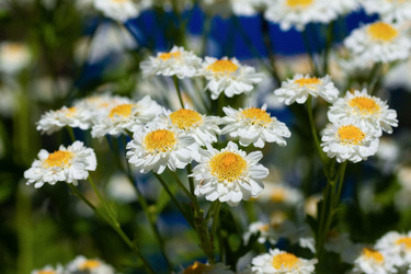 Similar image 22068064