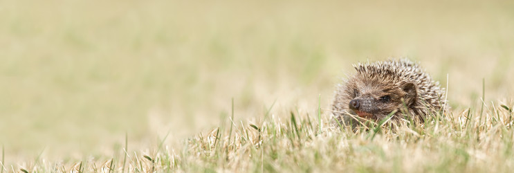 Similar image 22068295