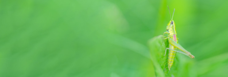 Similar image 22062510