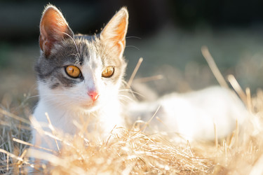 Similar image 22062512