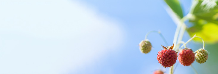 Similar image 22062516