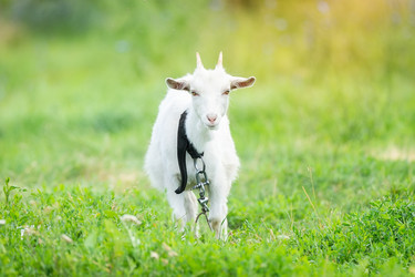 Similar image 22066334