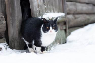 Similar image 22066337