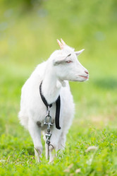 Similar image 22066338