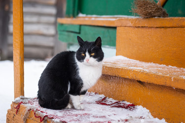 Similar image 22066339