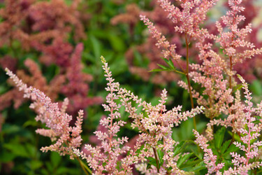 Similar image 22066402