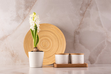 Similar image 22061919